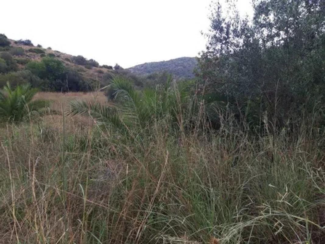 Land for sale in Denia, Alicante photo 3