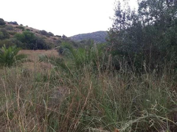 Terreno en avenida Monte Pego-Dénia photo 3