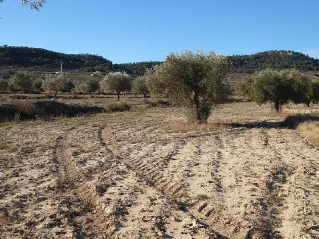Land for sale in Relleu, Alicante photo 2
