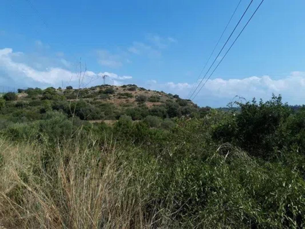 Land for sale in Denia, Alicante photo 4