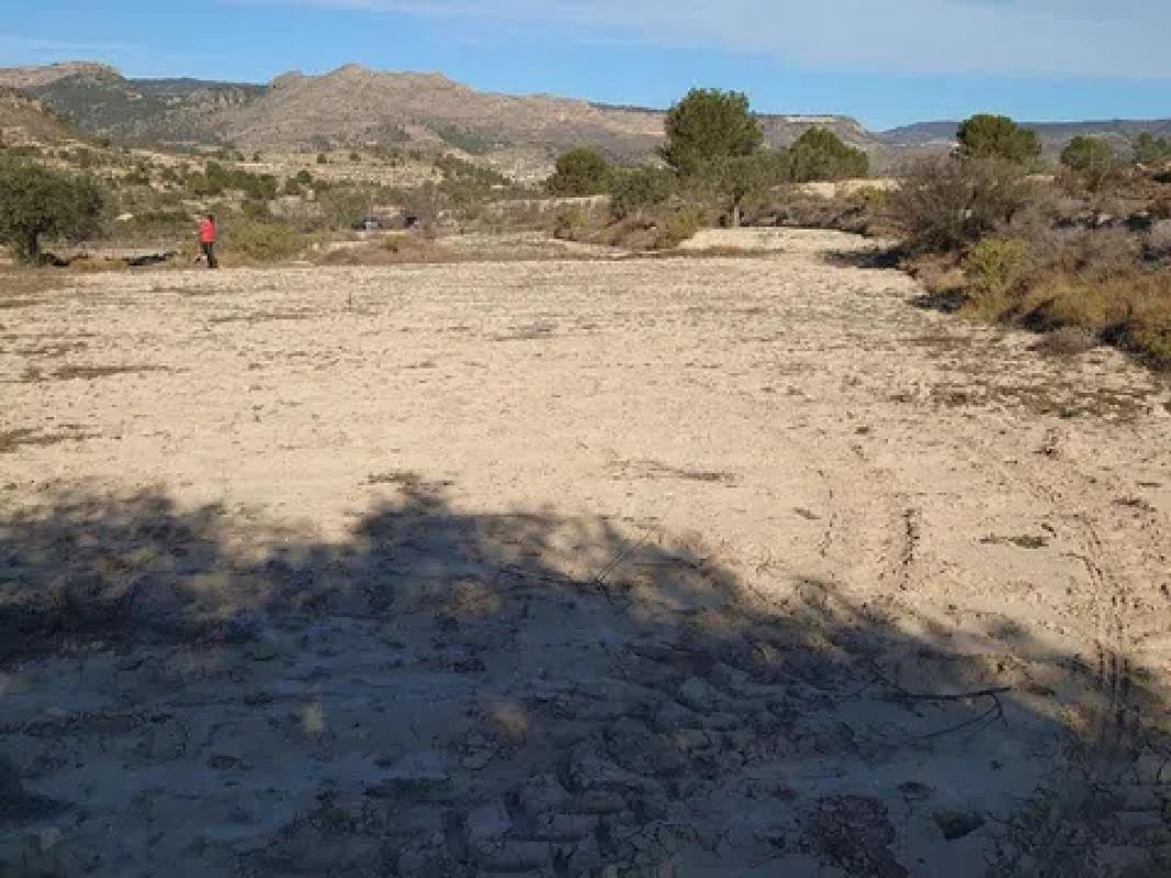Land for sale in Relleu, Alicante photo 3