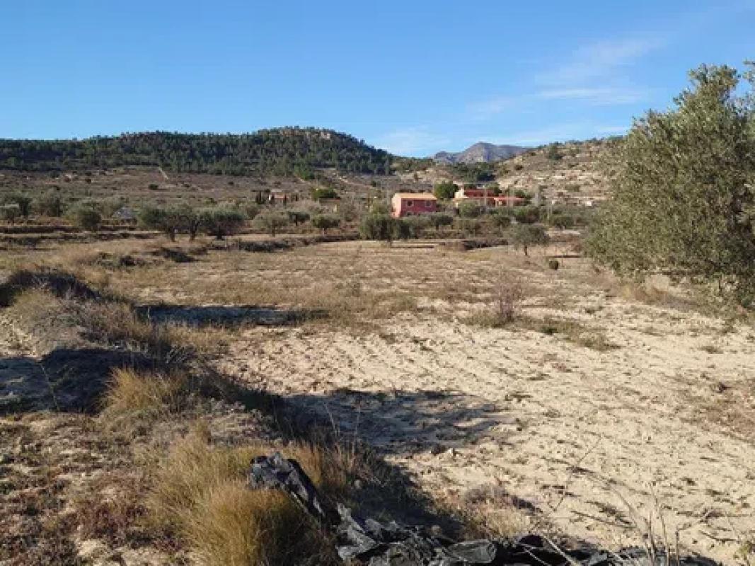 Land for sale in Relleu, Alicante photo 4