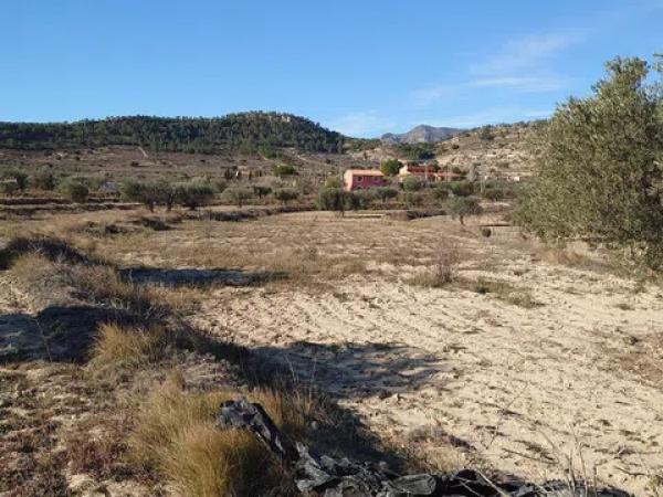 Terreno en camino Macaroves, 69 photo 4