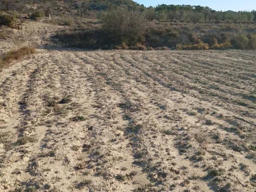 Land for sale in Relleu, Alicante photo 5