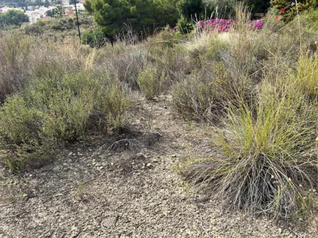 Terreno en venta en El Campello, Alicante photo 3