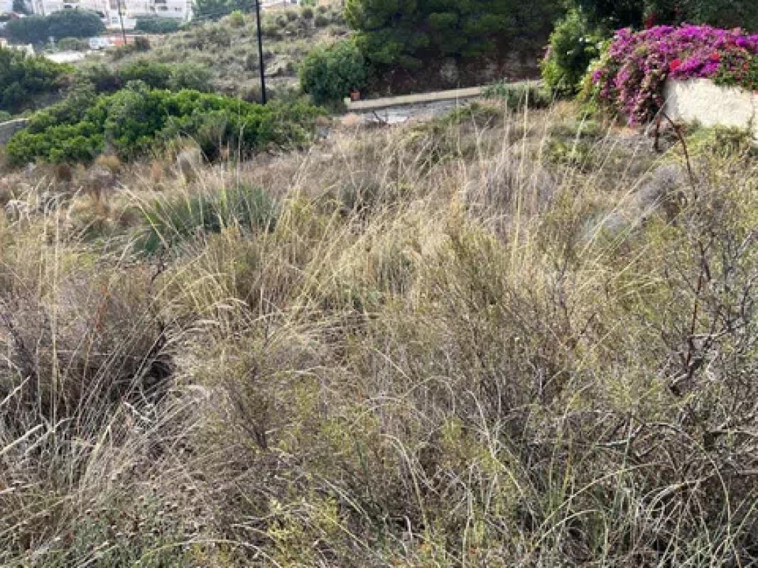 Terreno en venta en El Campello, Alicante photo 5
