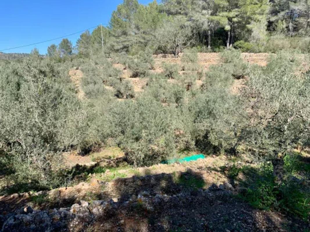 Land for sale in Gata de Gorgos, Alicante photo 2