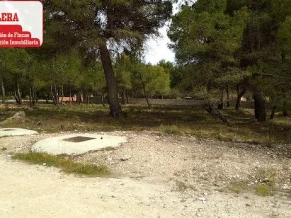 Terreno en Tibi photo 1