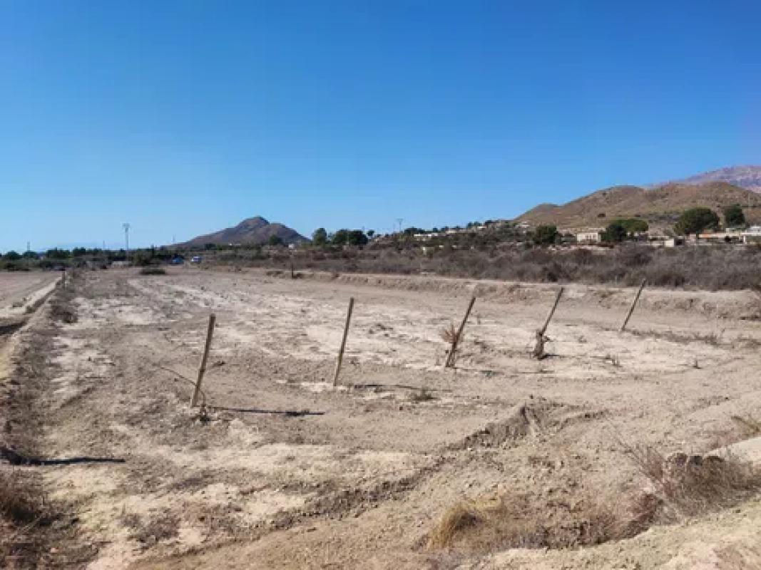 Terreno en venta en Agost, Alicante photo 2