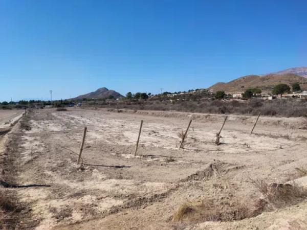 Terreno en carretera la calera s/n photo 2
