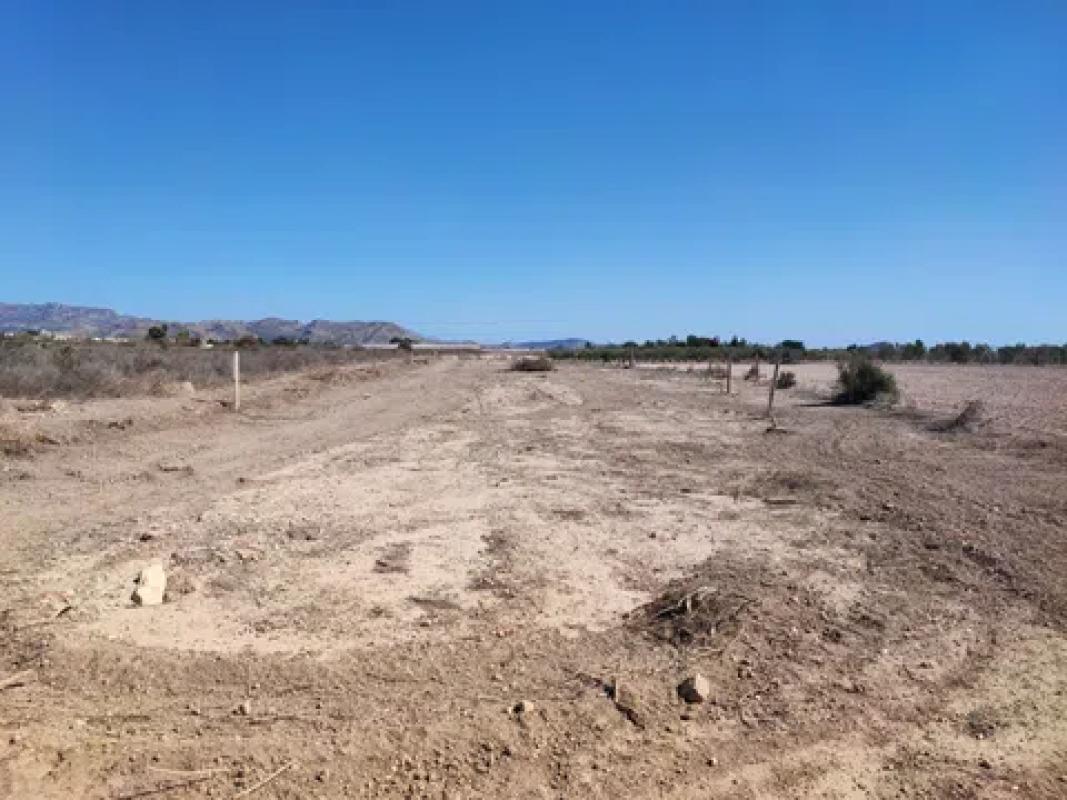 Terreno en venta en Agost, Alicante photo 3