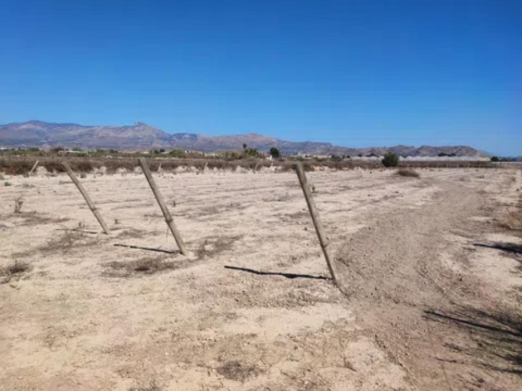 Terreno en venta en Agost, Alicante photo 4