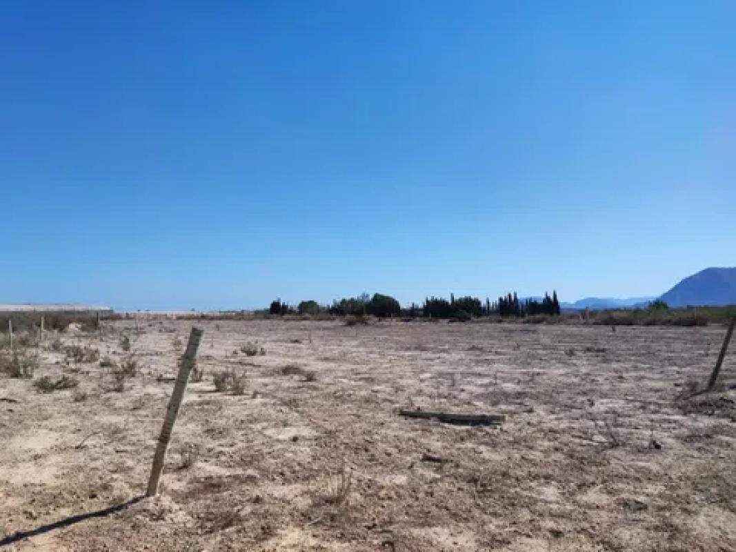 Terreno en venta en Agost, Alicante photo 5