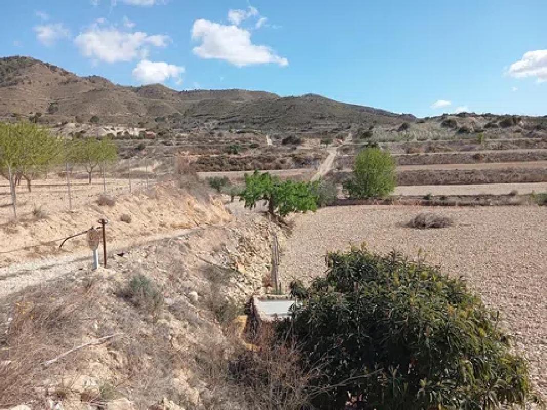 Land for sale in Novelda, Alicante photo 4