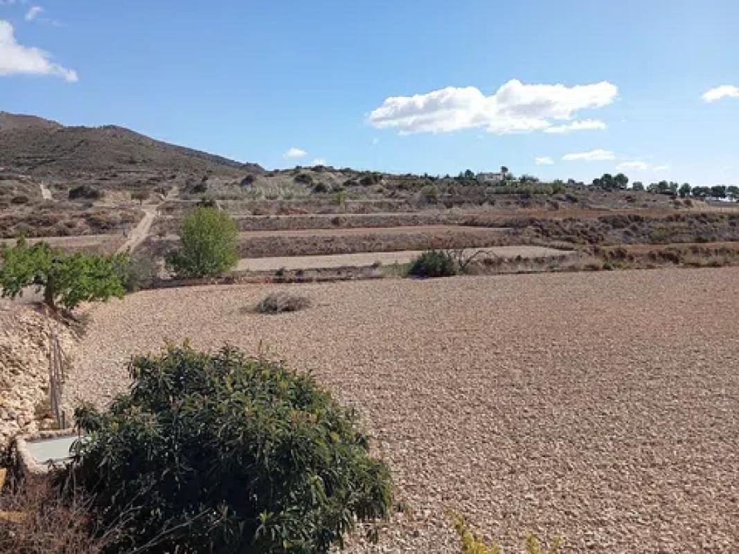 Land for sale in Novelda, Alicante photo 5
