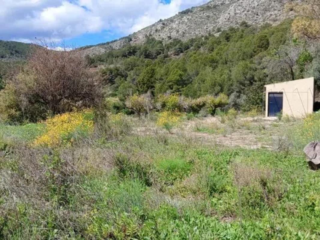 Land for sale in Callosa d'En Sarria, Alicante photo 1
