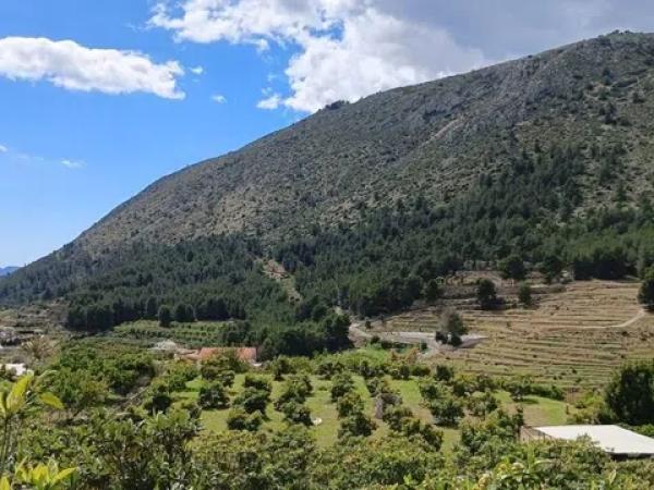 Terreno en Callosa d'En Sarria photo 4