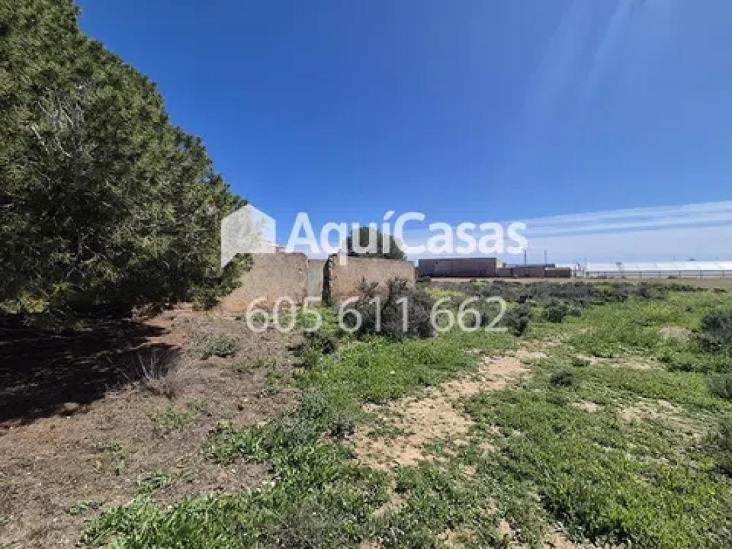 Terreno en venta en Pilar de la Horadada, Alicante photo 3