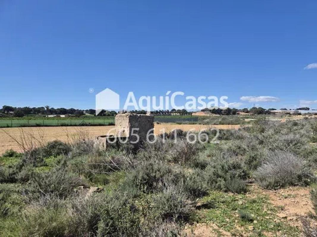 Terreno en venta en Pilar de la Horadada, Alicante photo 5
