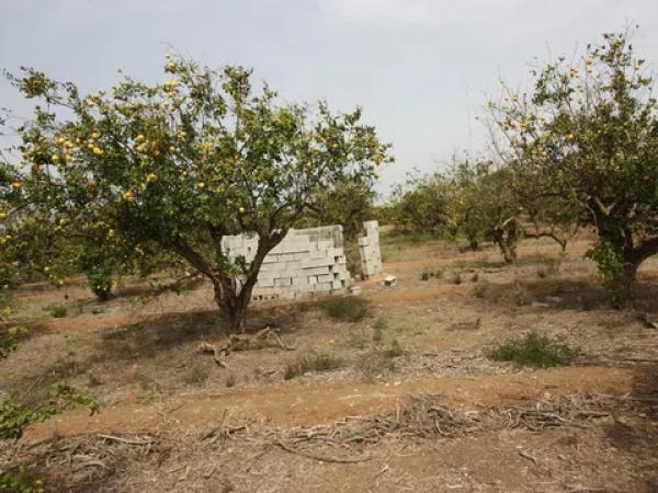 Terreno en camino del Raso photo 4
