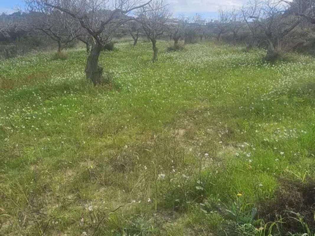 Działka na sprzedaż w Teulada, Alicante photo 1