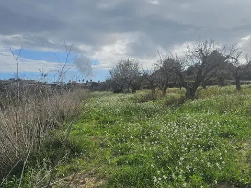 Działka na sprzedaż w Teulada, Alicante photo 4