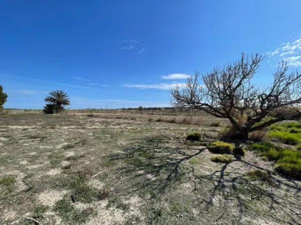 Terreno en Tamarit - Playa Lissa photo 1