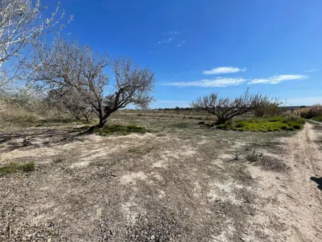 Terreno en venta en Santa Pola, Alicante photo 2