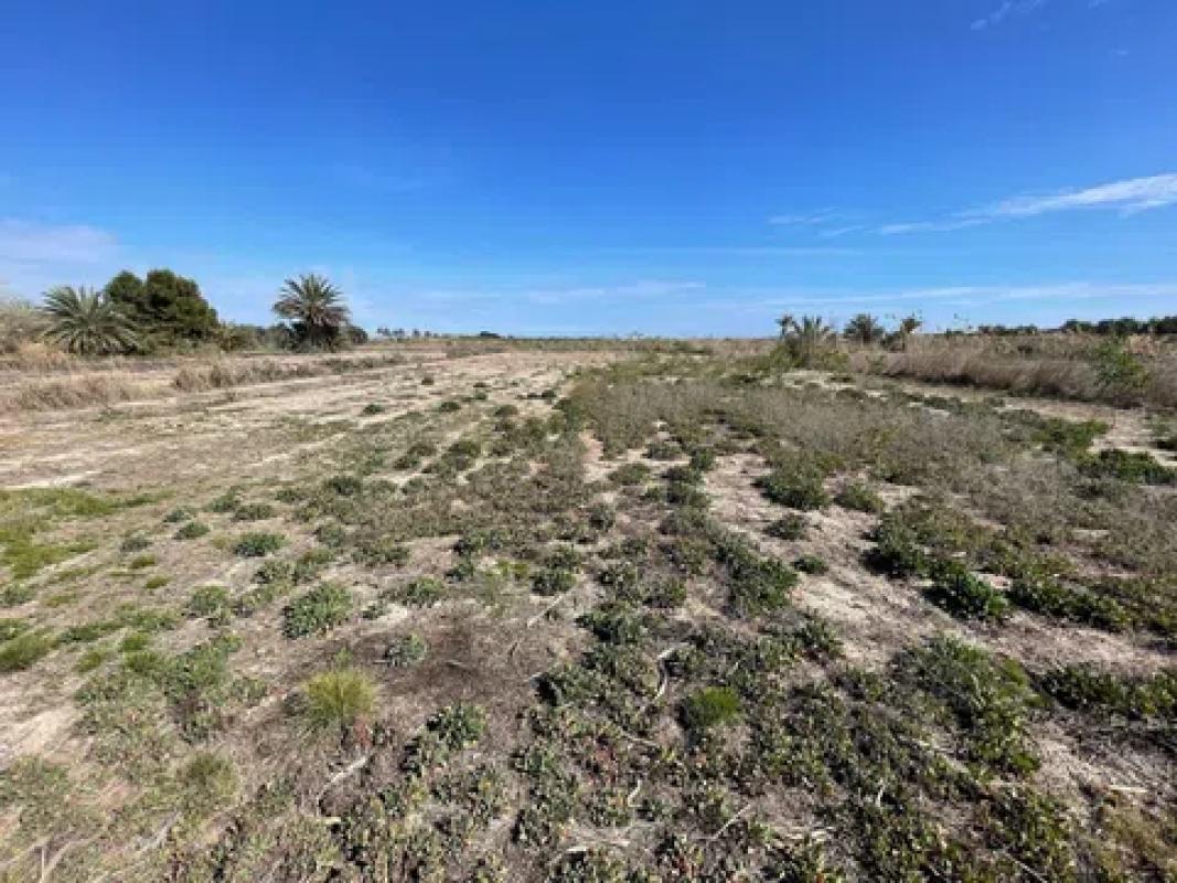Terreno en venta en Santa Pola, Alicante photo 3