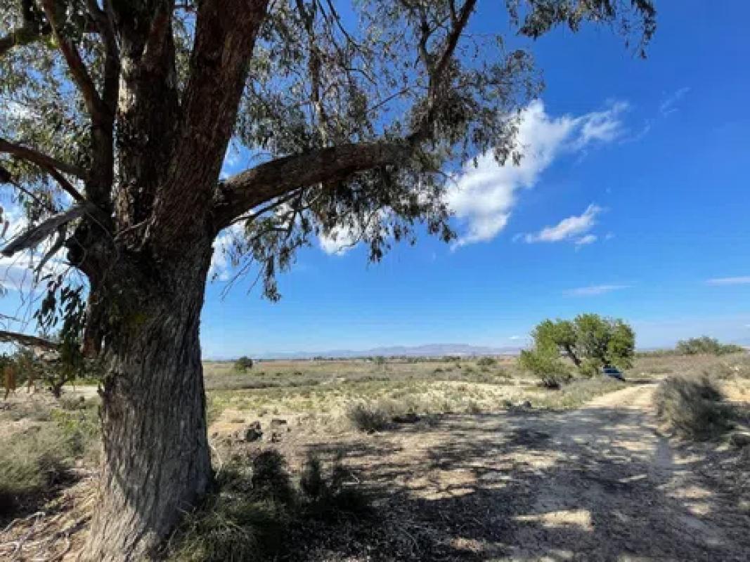 Terreno en venta en Elche / Elx, Alicante photo 5