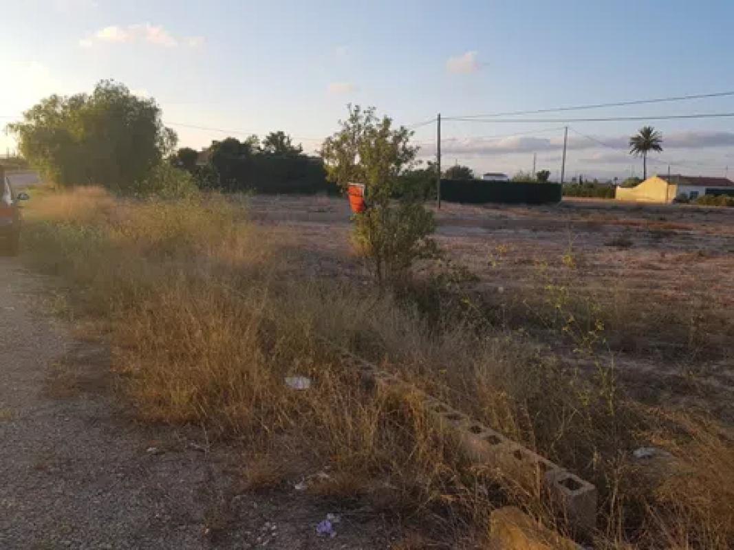 Terreno en venta en Elche / Elx, Alicante photo 1
