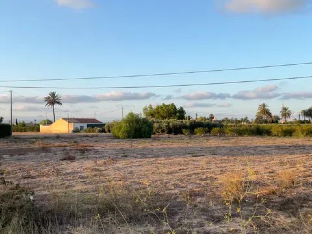 Terreno en venta en Elche / Elx, Alicante photo 2