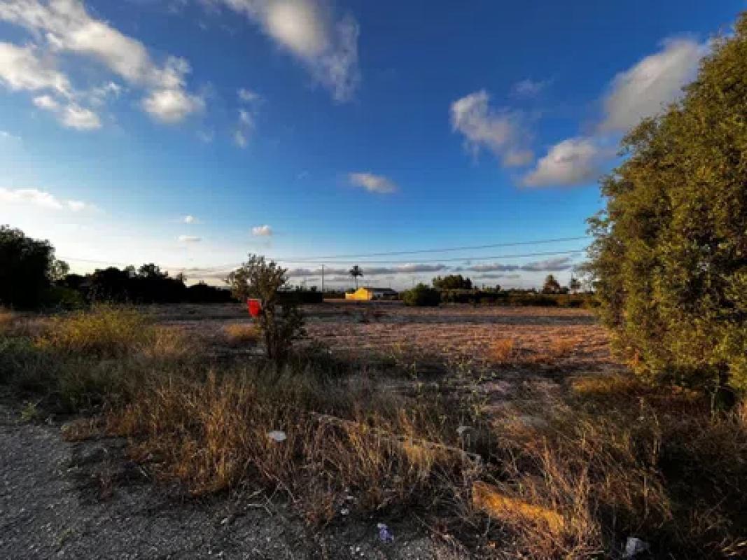 Terreno en venta en Elche / Elx, Alicante photo 3