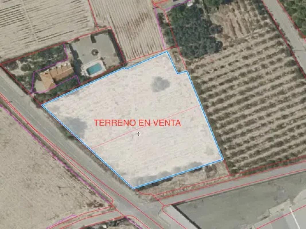 Terreno en venta en Elche / Elx, Alicante photo 5