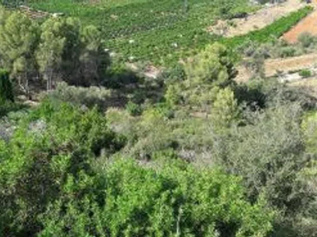Terreno en venta en Pego, Alicante photo 3