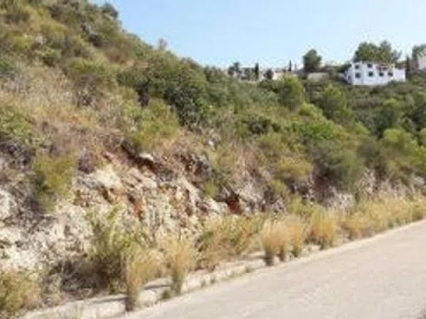 Terreno en calle los Claveles photo 4