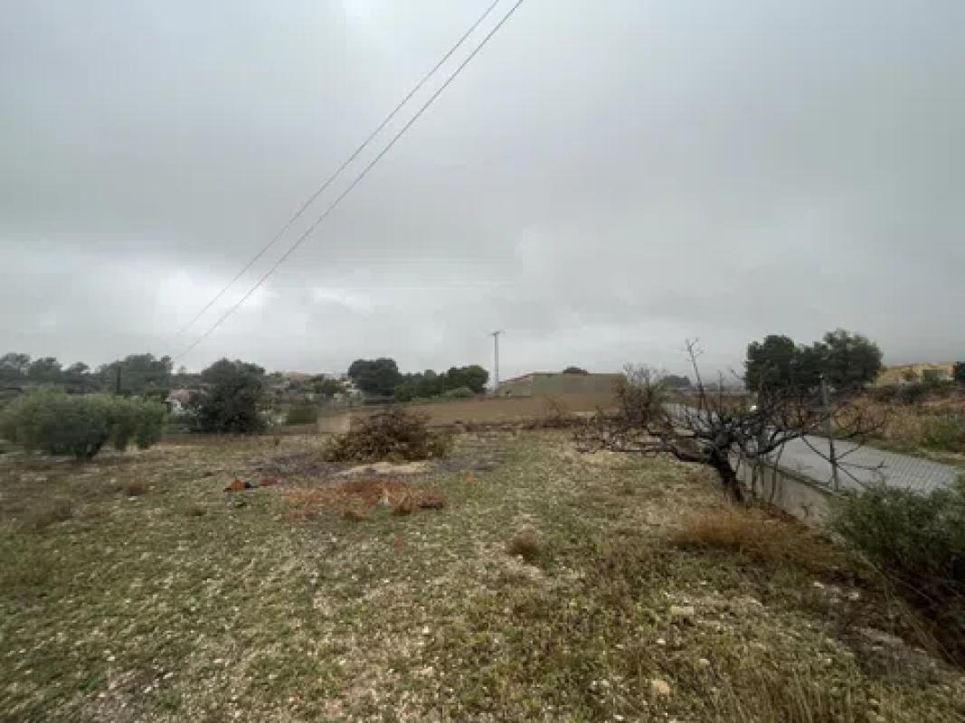 Terreno en venta en La Romana, Alicante photo 3