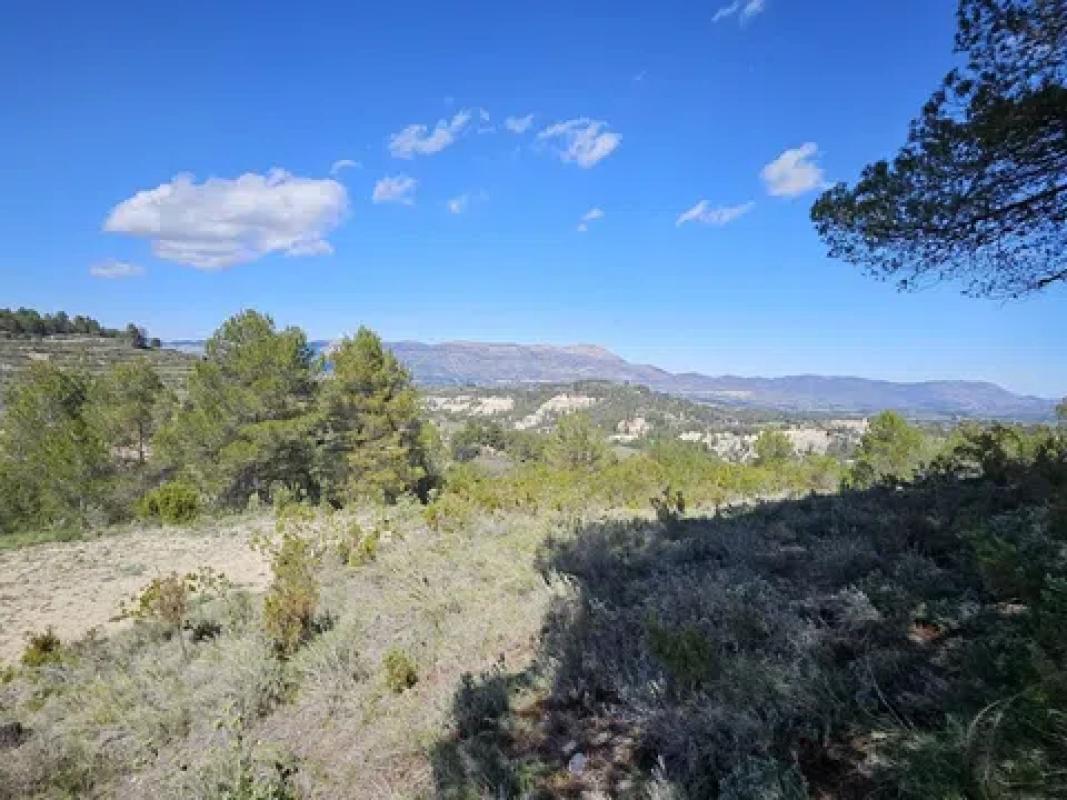 Terreno en venta en Millena, Alicante photo 2
