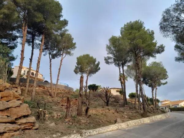 Terreno en calle de Valls del Vinalopó photo 1