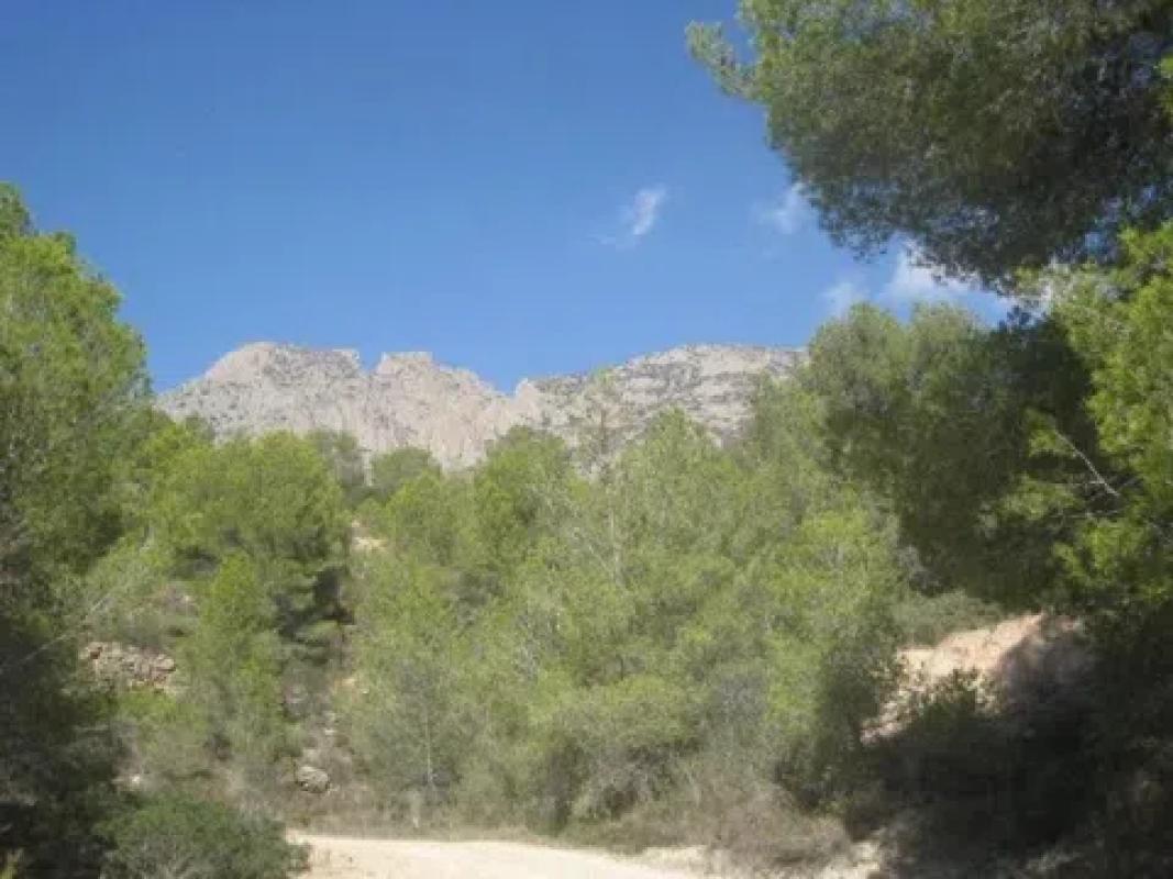 Terreno en venta en Finestrat, Alicante photo 1