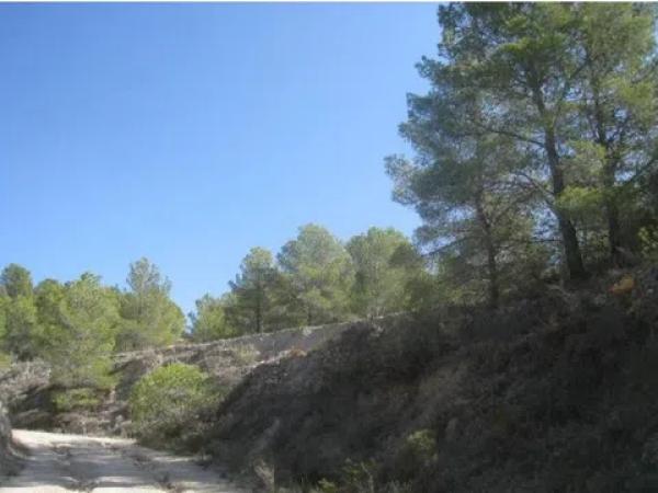 Terreno en Finestrat Pueblo photo 4
