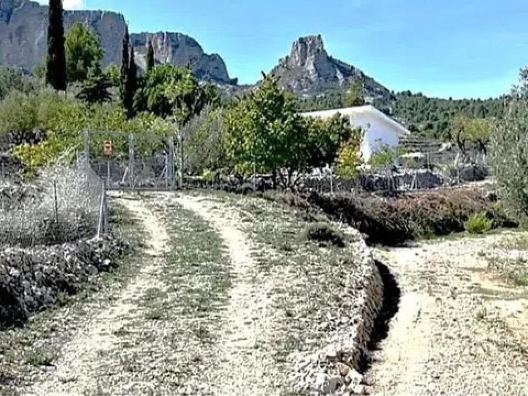 Działka na sprzedaż w Benifato, Alicante photo 5