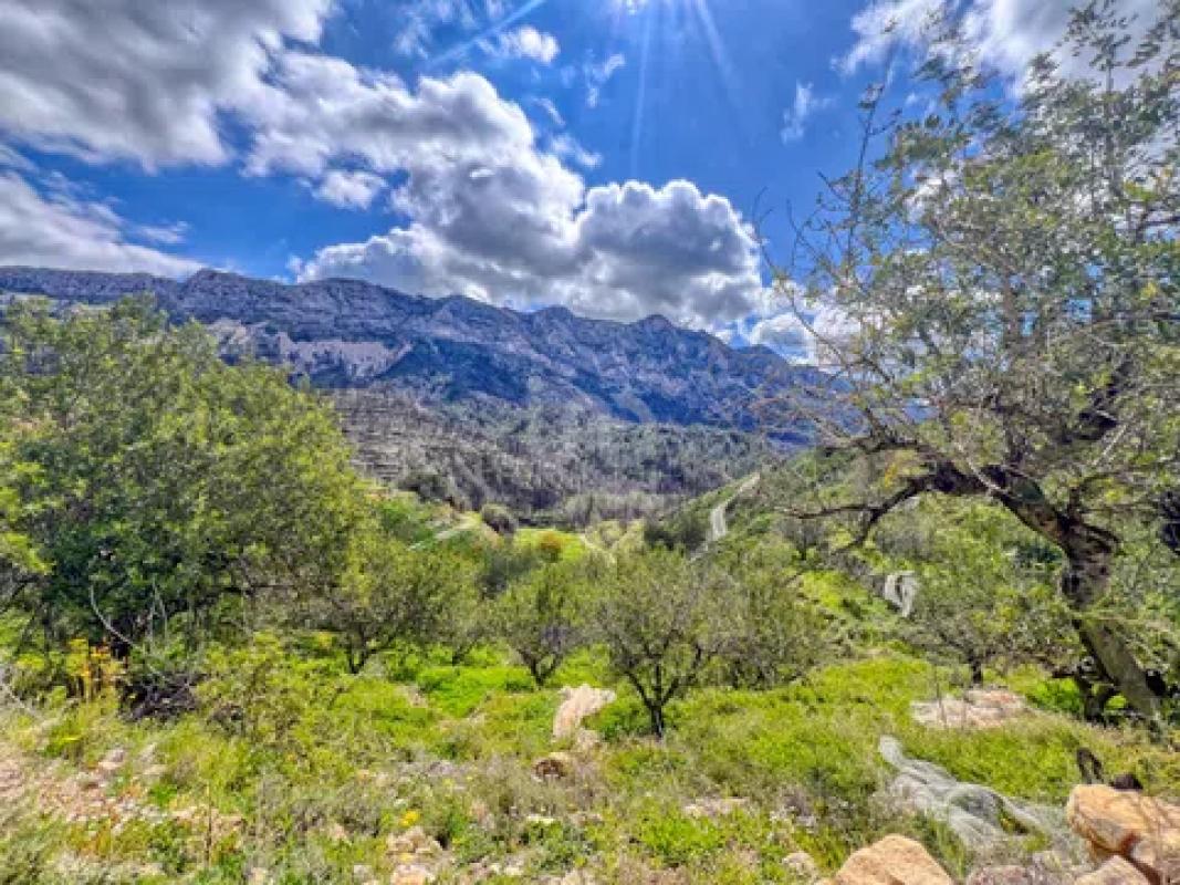 Terreno en venta en Tarbena, Alicante photo 4