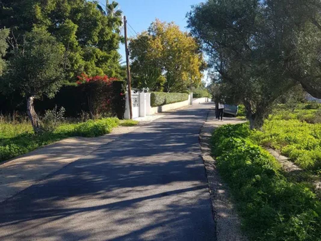 Działka na sprzedaż w El Campello, Alicante photo 2