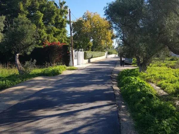 Terreno en calle de les Palmeretes, 26 photo 2