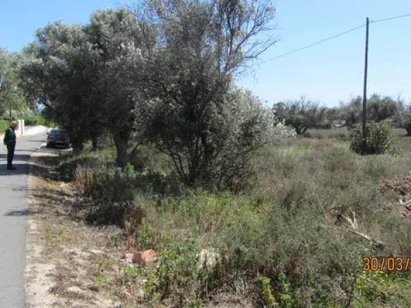 Terreno en calle de les Palmeretes, 26 photo 3