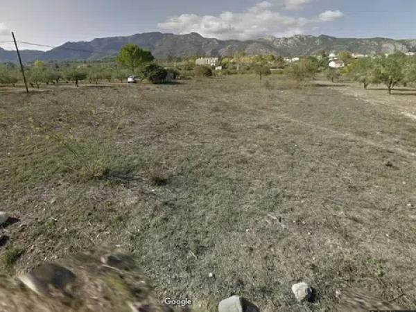 Terreno en camino de Muro s/n photo 3