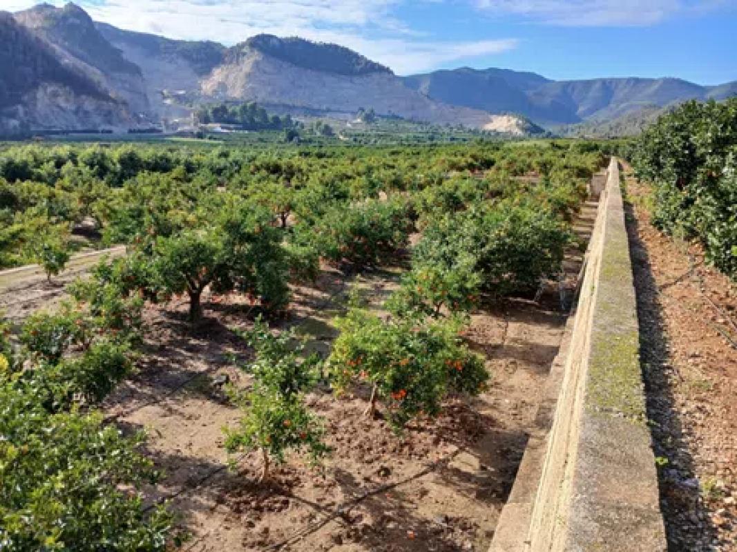 Terreno en venta en Adsubia, Alicante photo 2