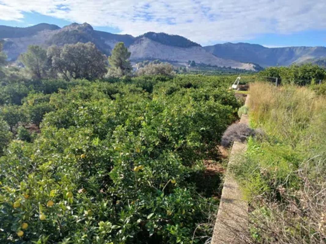 Terreno en venta en Adsubia, Alicante photo 3