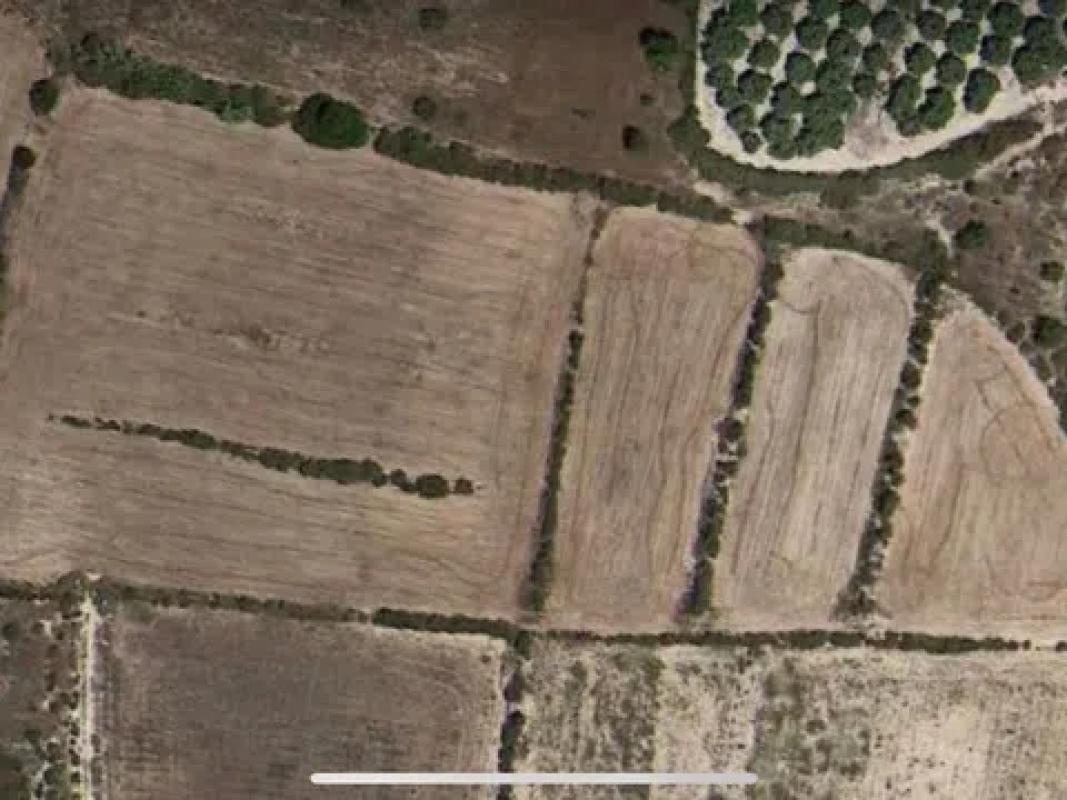 Land for sale in Elche / Elx, Alicante photo 3